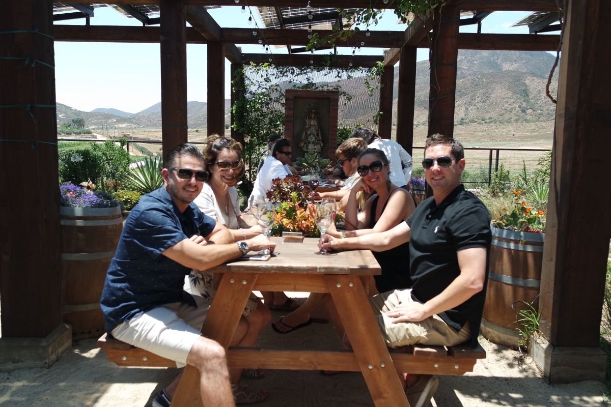 wine tasting tours baja california